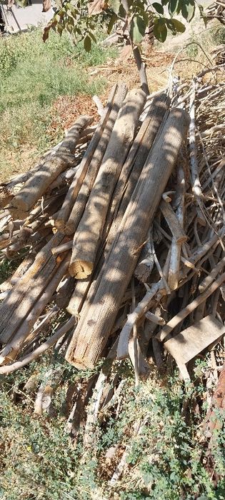 Утинлар.  Дрова.