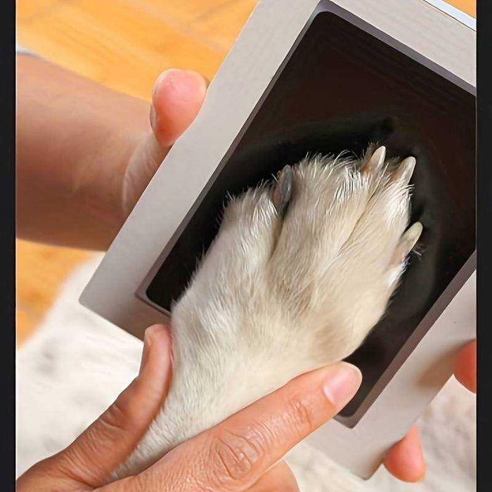 Kit pentru amprenta labei animalului de companie