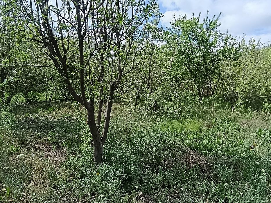 Yer ucastkasi qurish uchun tayyor