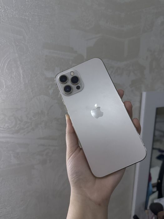 Iphone 12 Pro max