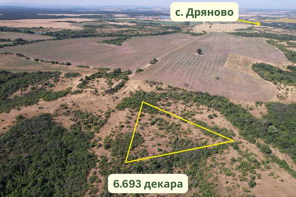 Продавам 20.634 дка земя в село Дряново ВИСОКА РЕНТА
