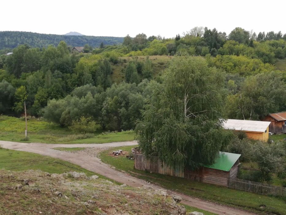 Продаётся дом в Алтайском крае с участком