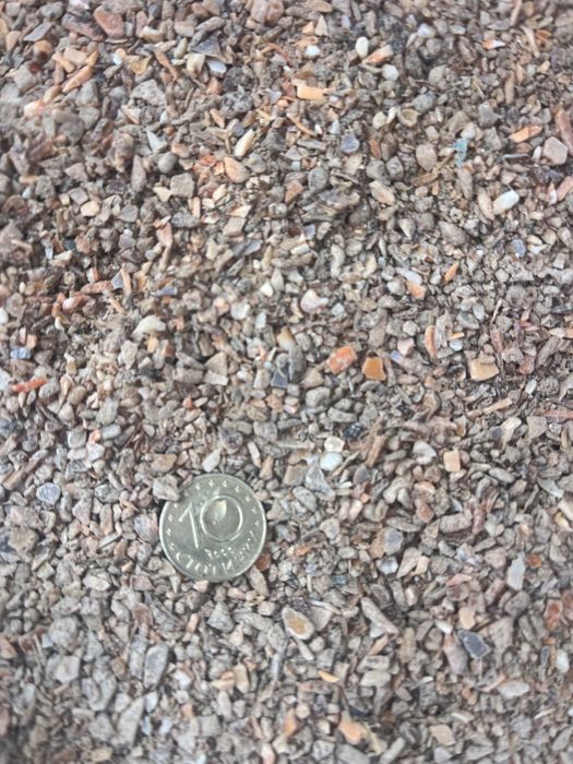 Смлени черупки от рапани