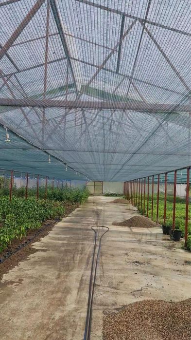 Afacere la cheie- cladire-hala productie+ sera/ferma