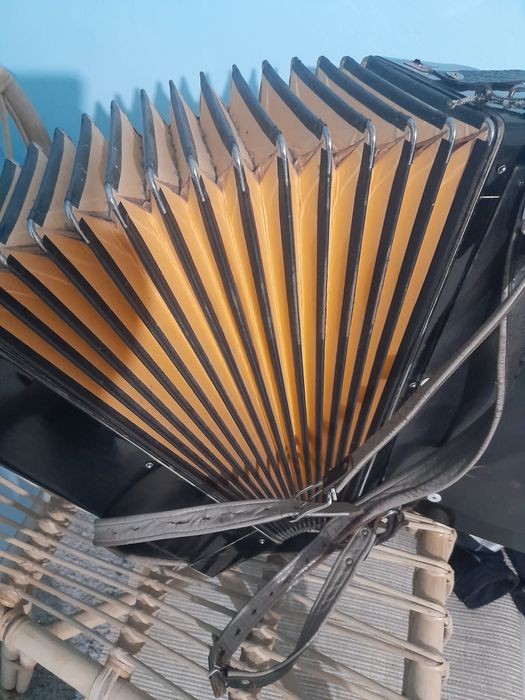 Acordeon în stare bună