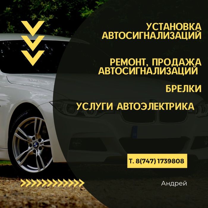 Установка автосигнализаций