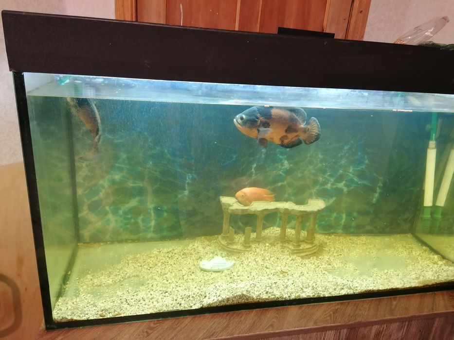 В отличном состоянии