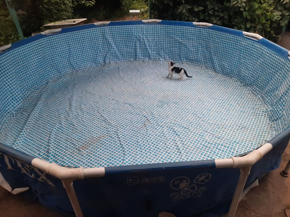 Продам бассейн очен огромный