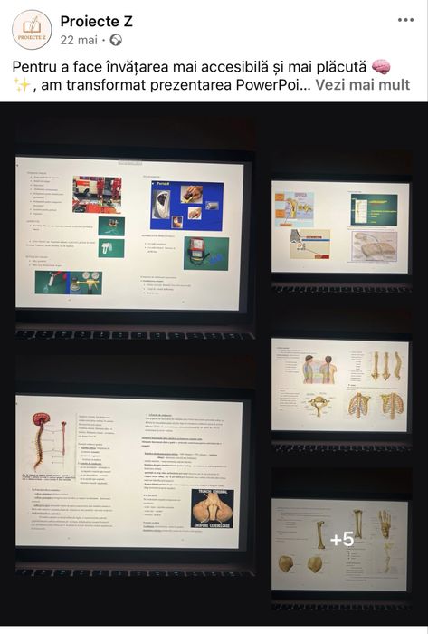 Referate/eseuri/proiecte/prezentări școlare