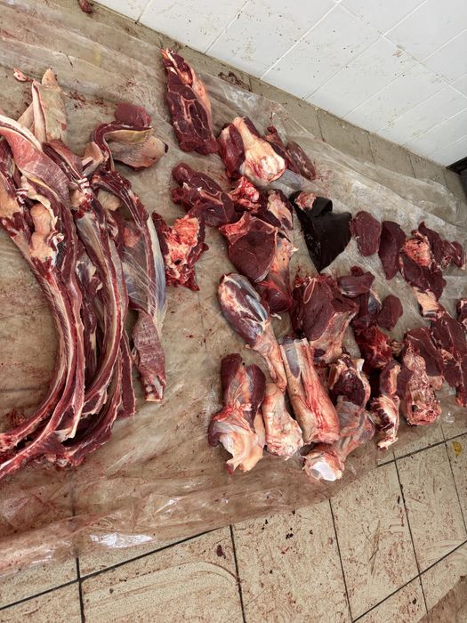 Жарты согым сатылады