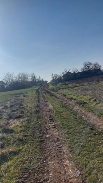 Teren intravilan redea