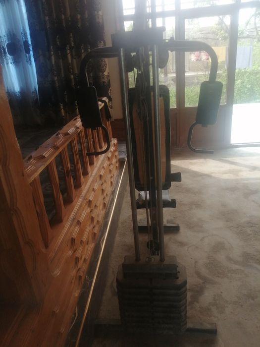 Trinajor, begavoy darojka 2tasi birda