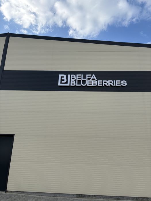 Reclame luminoase, litere luminoase, casete luminoase