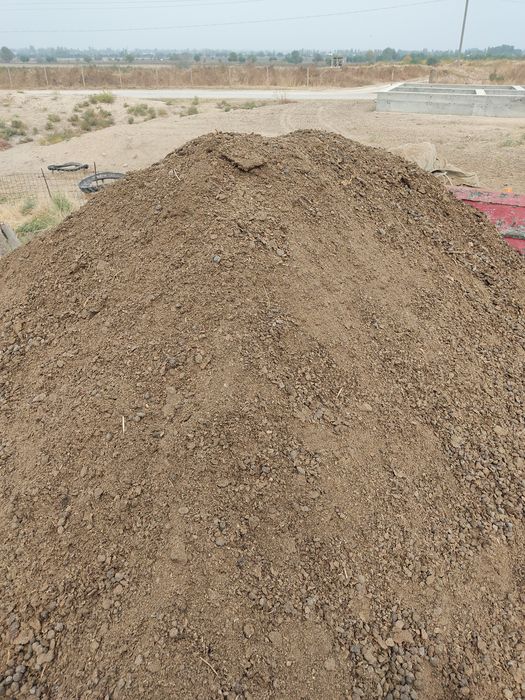 Chirindi Go'ng o'g'tlar bog'larga, ko'chatlarga, gazonga