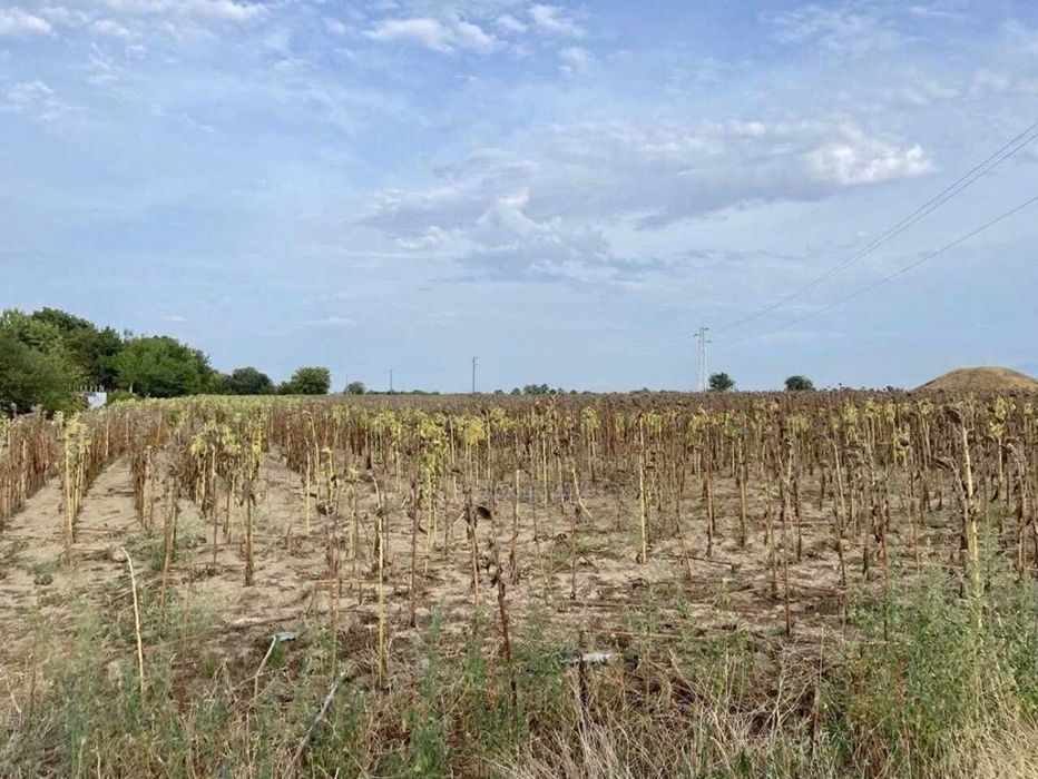 Продава се Парцел в с. Строево, Област Пловдив - 3790 кв.м за 9 €/кв.м - Снимка #1