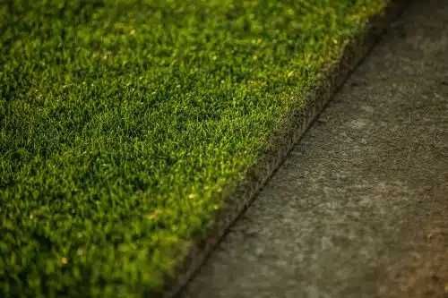 Producător rulouri de gazon ferma Dâmbovița