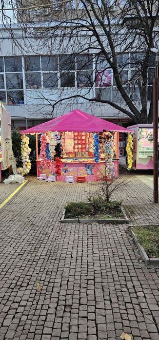 Атракцион лов на патенца