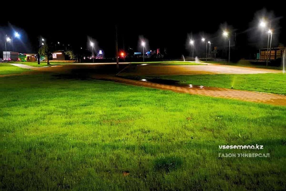 Газонная трава Универсальная (3 вида на выбор)