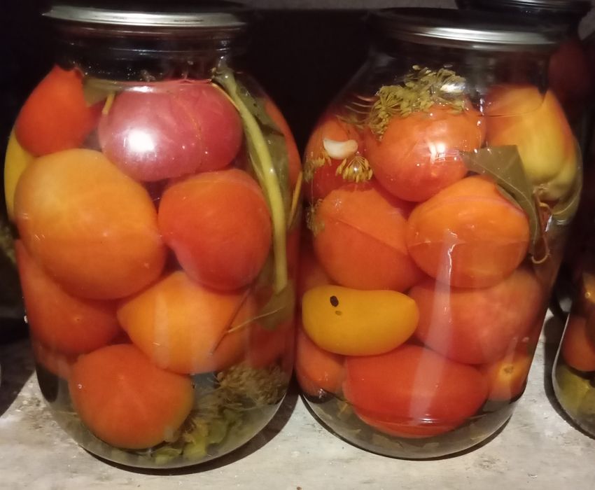 Соленые помидоры