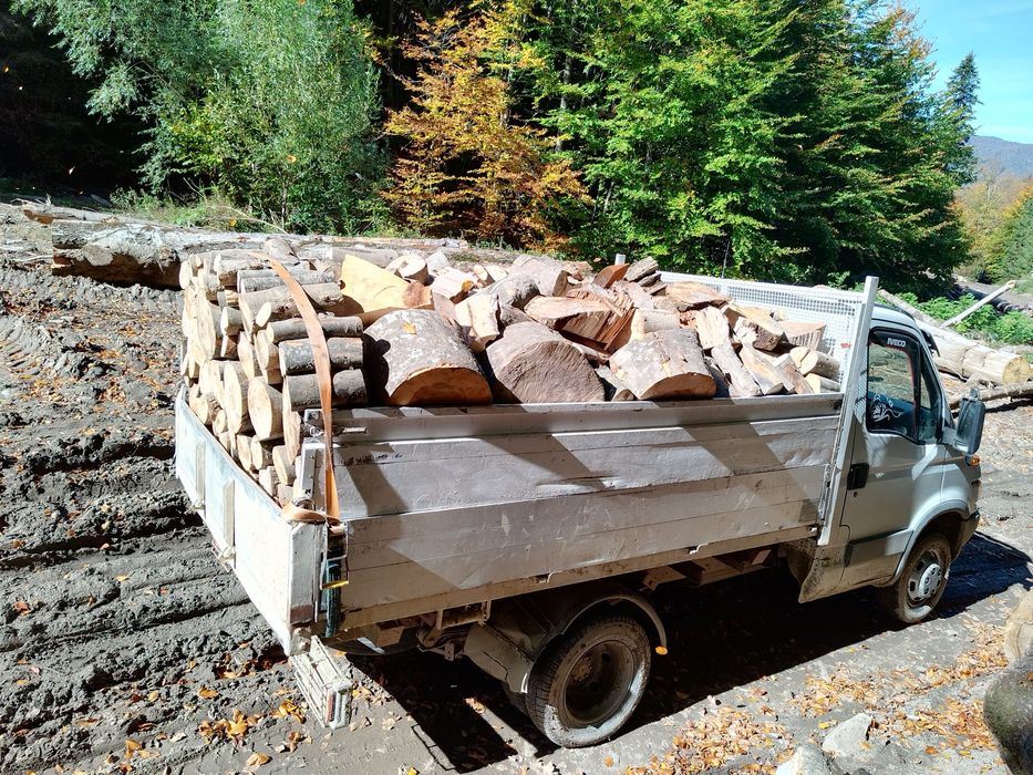 Lemne de foc esenta tare