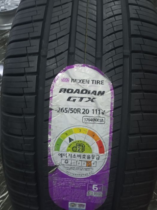 Nexen255/55 R20 Rodian GTX
