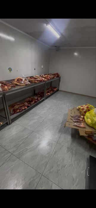 Жас жылқы еті , молодое Мяса конина 3500
