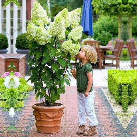 Котеджлар 6 хона 3 + сотик ,Сифатли Уйлар Дурмон бИРЛИК Кибрай рн