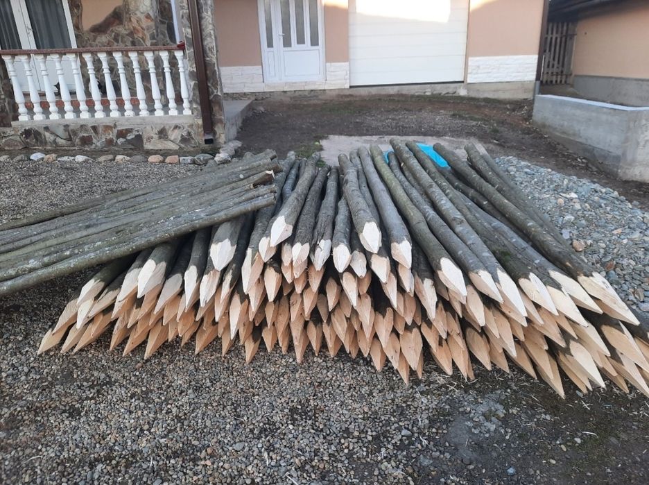 Pari pentru rosii , fasole, gard electric, vie