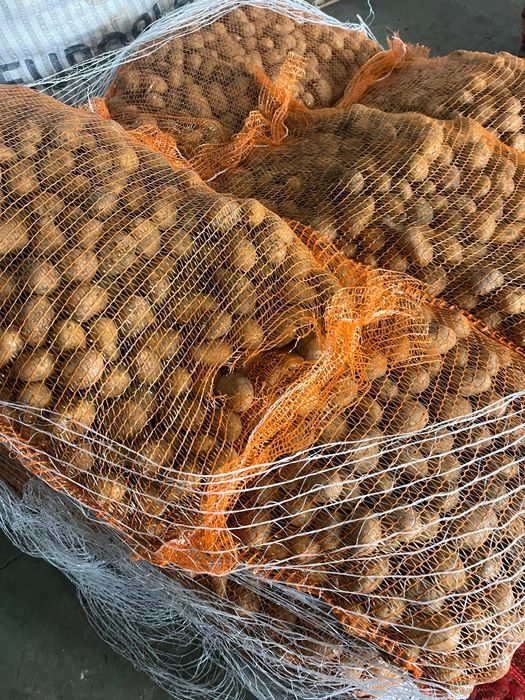 vand cartofi samanta albi si rosii cantitati mari Germania si Romania