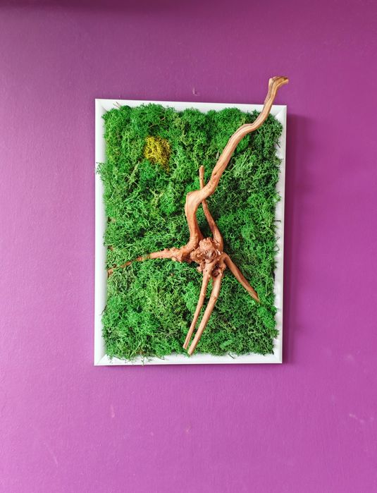 Картина от скандинавски мъх и корен от азалия