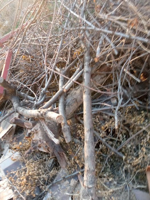 Õtin sotiladi 1moshin