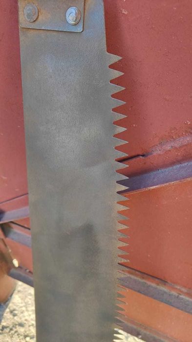 Пила дружба новая