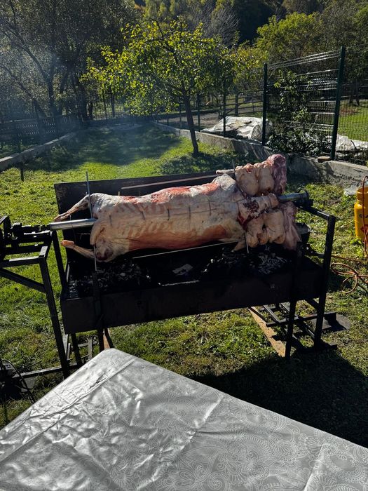Proțap evenimente