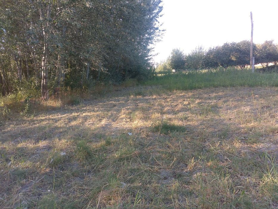 Пайариқ тумани Тохиршайх МФЙ,