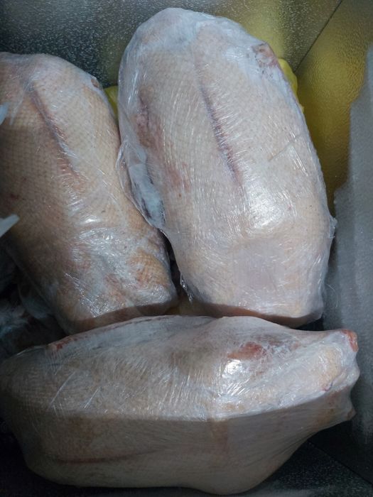 Продам мясо Гуся