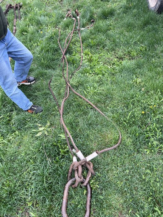 Пауки поселок Белбулак