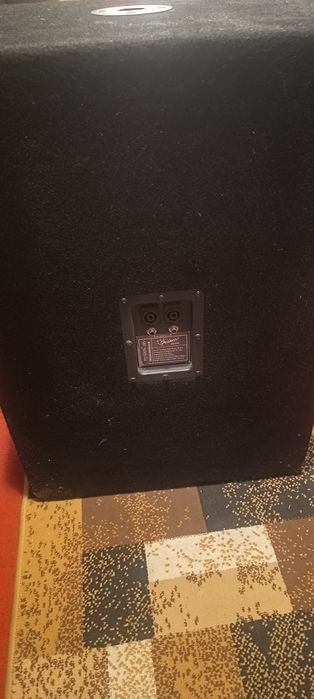 Subwofer profesional
