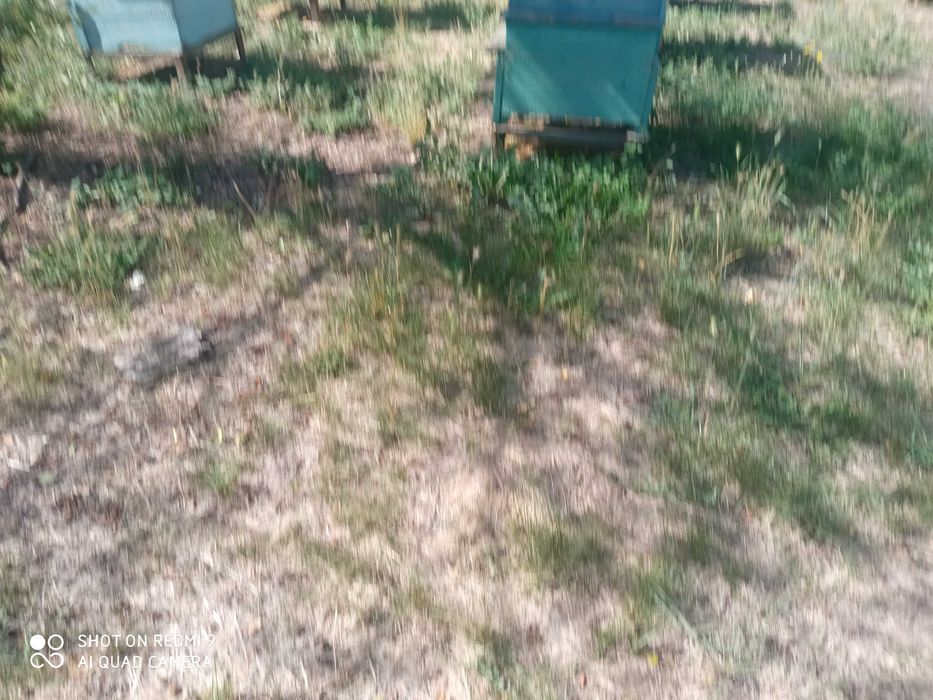 Продава се Къща в с. Яворово, Област Стара Загора - 200 кв.м за 80 €/кв.м - Снимка #6