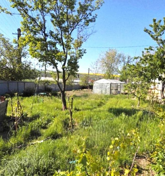 Casă cu grădină mare și vie, Odaia Manolache – toate utilitățile!