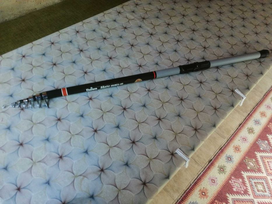 Шaранджийска въдица 6м.