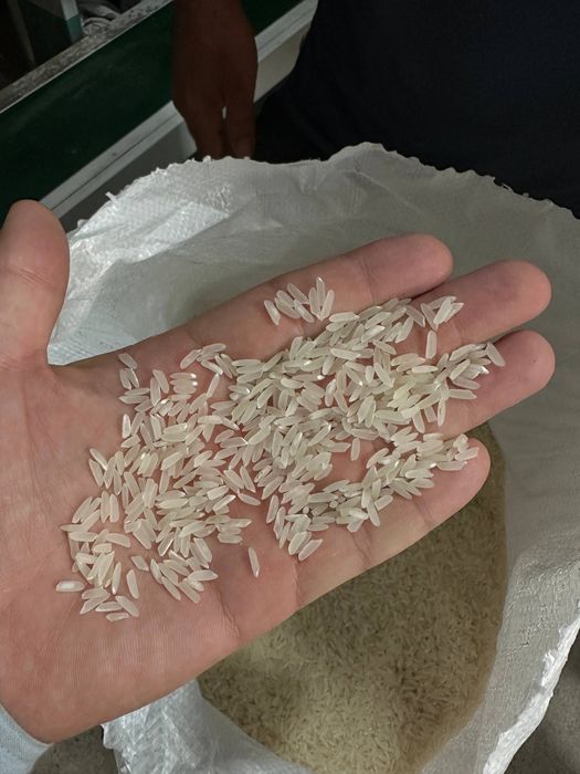 Лазер гуруч, рис, акция, узимизники 1 кул.