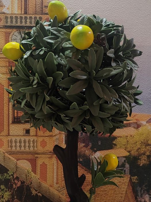 Лимонное дерево для интерьера