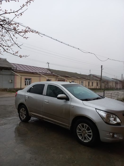 Coblt sotiladi srochna