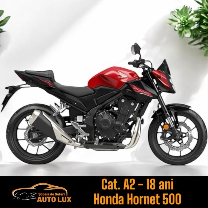 Scoala de soferi AUTO LUX /Cat. A, A2, A1, B, BE, C, CE, D / Satu Mare