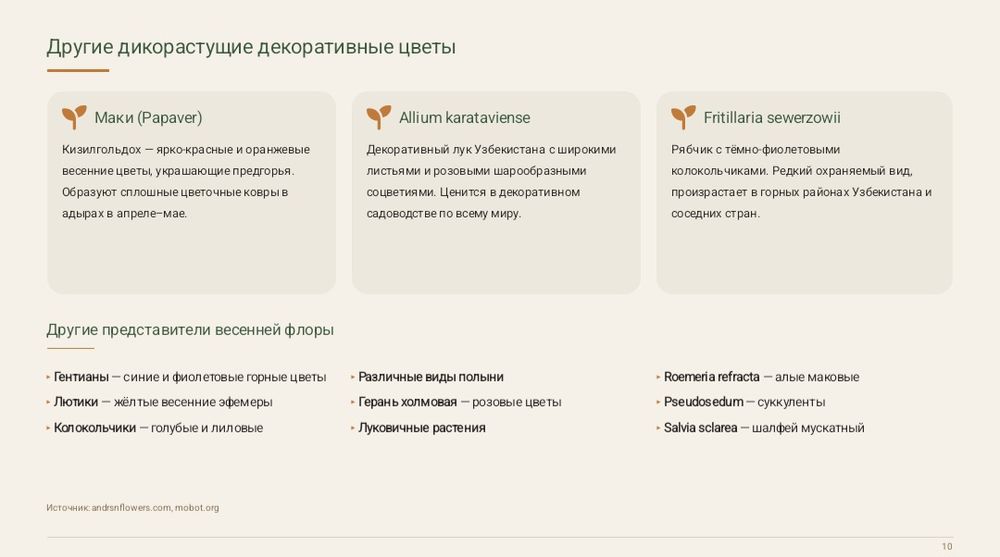 《Презентация》canva, PowerPoint а также word варианты