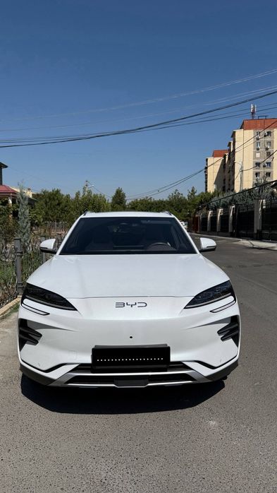 BYD Champion 2024 ev