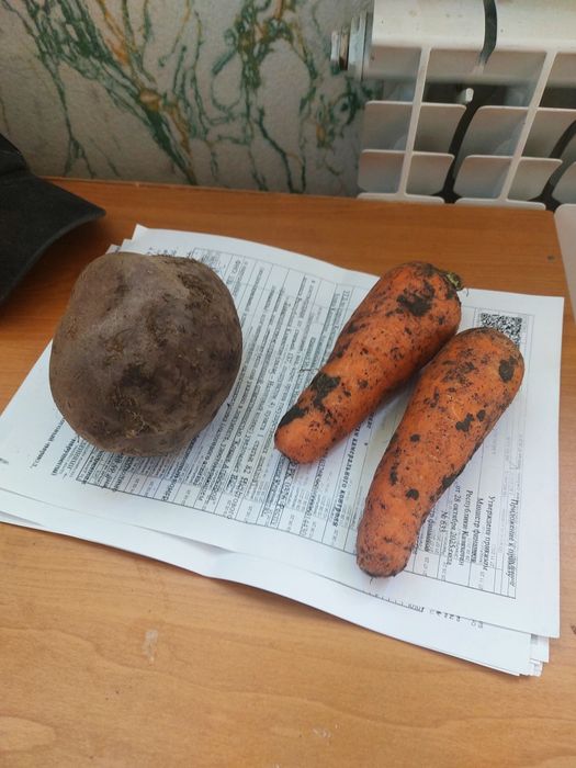 Продам свеклу и морковь
