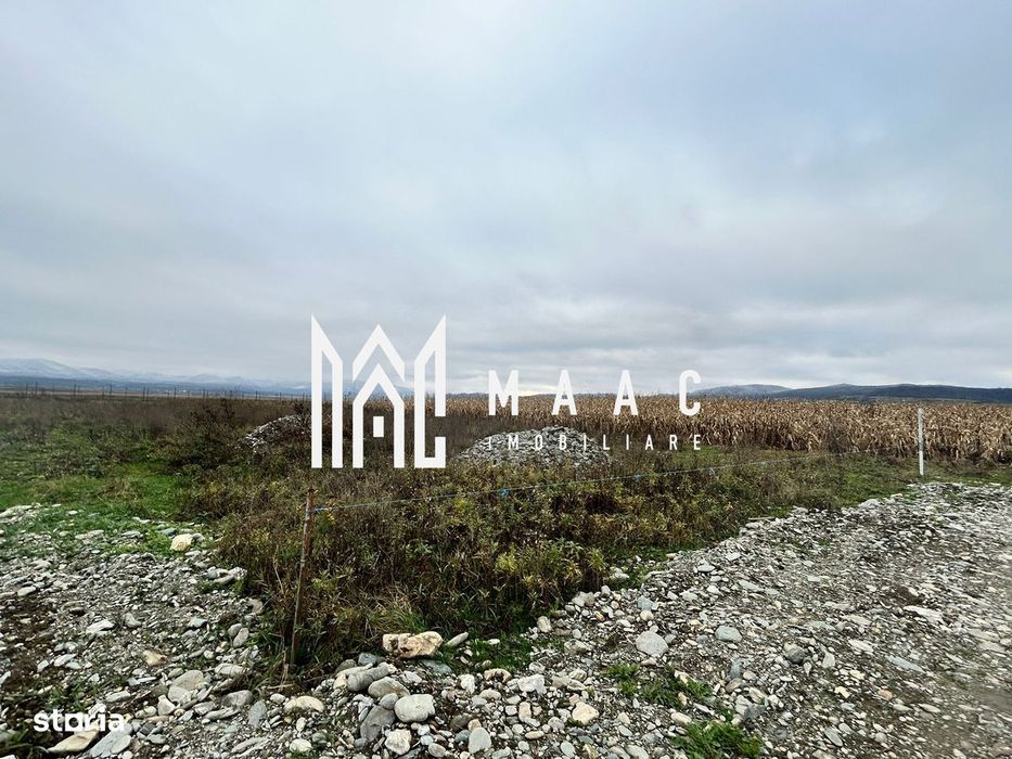 Teren intravilan | 860 mp | Deschidere 16 m | Priveliște montană | Bra