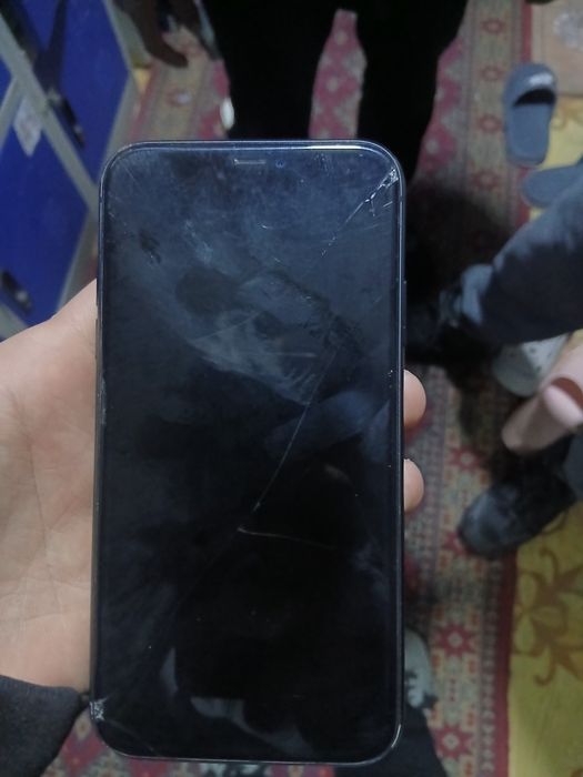 IPhone 11 на яблоке весит