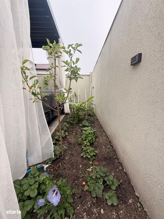 Vila transformata integral | Irish Villa Domnesti | Terasa inchisa